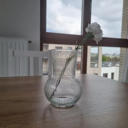 Chrobrego Apartment *